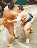 朝乃山６勝、旭大星を寄り切る　大相撲夏場所９日目