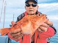 釣果はいけん<br />ウッカリカサゴ体長３７センチ　追野英志さん（７９）富山市豊田本町