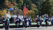 紅葉が進む公園周辺をバックに踊るよさこいグループ