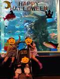 魚津水族館にハロウィーンフォトブース！