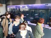 市民が地元の魅力再発見　射水で体験型プログラム、道の駅や博物館見学