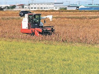 令和米騒動～農のあした＜１６＞第２部／生産調整（減反）３「転作」<br />「村の連帯意識」で継続