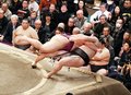 朝乃山、２桁勝利達成　初場所千秋楽