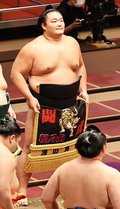 朝乃山 １１月場所は西大関　親方定年前の優勝誓う