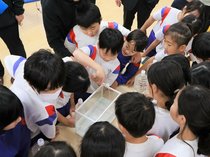 サクラマス元気に育て　富山・速星小児童が卵からの飼育に挑戦