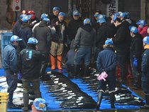 関係者、豊漁願う　氷見魚市場で初市、「寒ぶり宣言」出ず