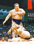 朝乃山、隠岐の海下し連勝　名古屋場所２日目