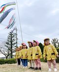 こいのぼり元気よく　滑川市役所で園児ら掲揚