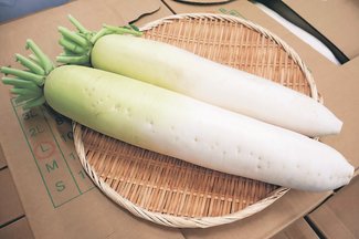 ＜旬を召し上がれ＞大根<br />うまみ たっぷり染み込む