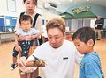 世界のカブトムシとクワガタ勢ぞろい　氷見・海浜植物園
