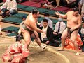 朝乃山快勝、６勝１敗で締め　大相撲秋場所