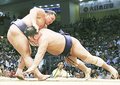 朝乃山５勝目、上手出し投げで栃煌山破る　名古屋場所６日目