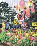 色鮮やか、南国気分　砺波・チューリップ四季彩館、熱帯植物３００鉢並ぶ