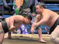 朝乃山 ７勝では優勝できないかも！？
