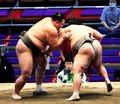 朝乃山６連勝　大相撲名古屋場所１１日目
