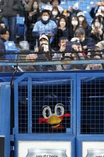 つば九郎、３１日に活動再開