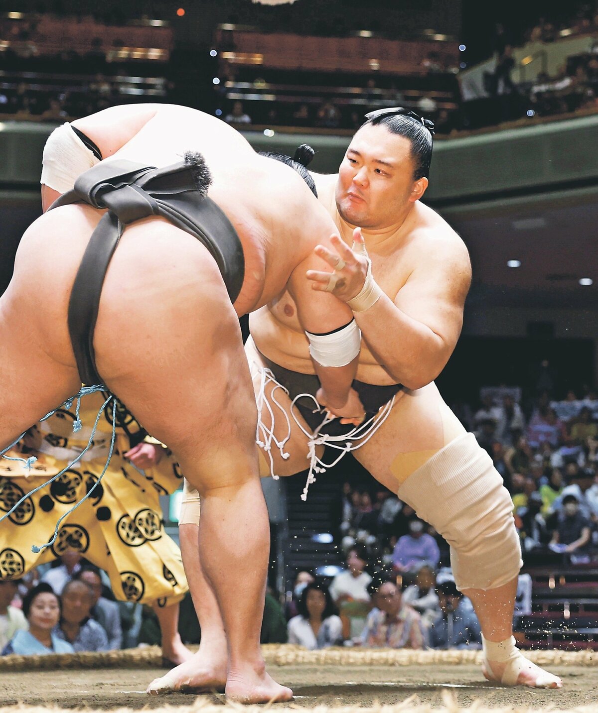 大相撲　朝乃山関　反物　　　一反 朝乃山違反、角界に驚きと嫌悪 看板の大関が、虚偽報告まで