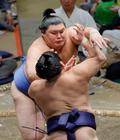 大の里が８連勝、単独トップ