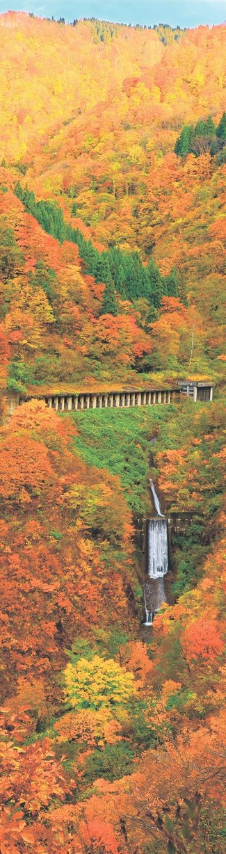 ＜とやまの紅葉２０２５＞人喰谷<br />染まる木々、幾重にも