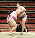 朝乃山、正代寄り切り２敗守る　春場所９日目