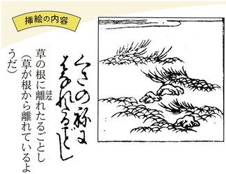 お悩みに効く和歌占い　成蹊大教授・平野多恵<br />（６）「根っこ」太らせよう