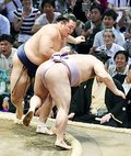 朝乃山、琴恵光下し白星発進　名古屋場所初日