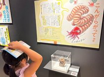 「もう一度行きたい！」わけあって絶滅しました。展