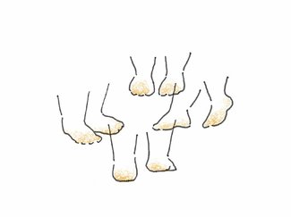 ネギにつらい思いをさせられない<br />歌人・島楓果