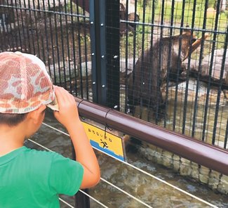 ＜遠近両用ふるさと＞１３　放送作家・中野俊成<br />「熊に気ぃつけっしゃい」