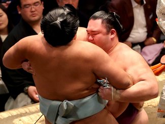 朝乃山５連勝 どこまで続く白星街道