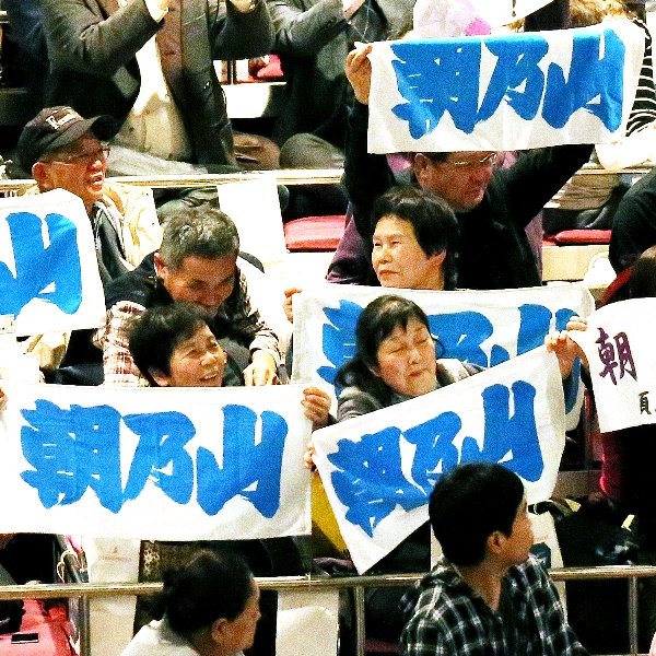 朝乃山の全成績｜北日本新聞webunプラス