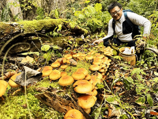 源流居酒屋（１３）天然ナメコを探す<br />輝くばかりの美しさ