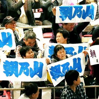 朝乃山の全成績