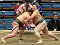 朝乃山６連勝、右を差し圧倒　大相撲春場所１１日目