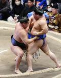両横綱、安青錦が１敗守る
