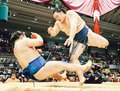 朝乃山「前に出る相撲」で一気　両親が激励、初心に帰る
