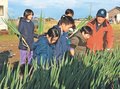 ネギ栽培の工夫分かった　砺波・鷹栖小子ども特派員、ほ場で生産者取材