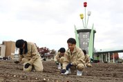 球根を植える小矢部園芸高校の生徒