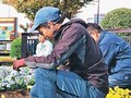 空港花壇の苗植える　県緑化造園土木協、２６年春民営化で休止へ