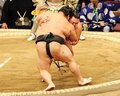 朝乃山連勝、苦手相手に万全の寄り　大相撲九州場所３日目